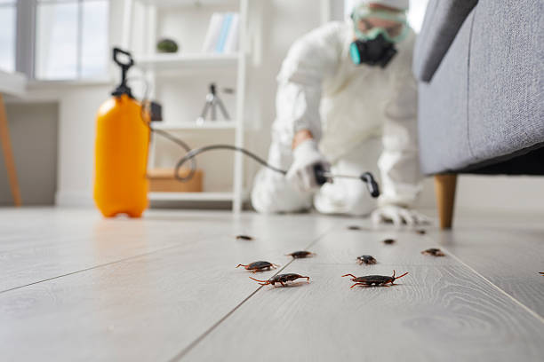 Commercial Kitchen Cockroach Control in Lihue